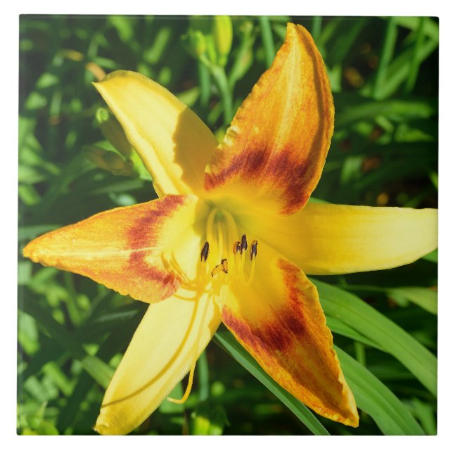 Macro image of a lily flower tile (Front)
