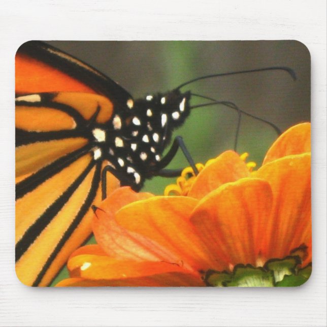 MACRO MONARCH mousepad (Front)