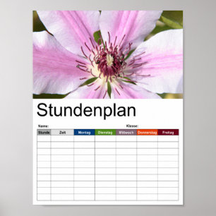 Macro of white and purple Clematis Poster