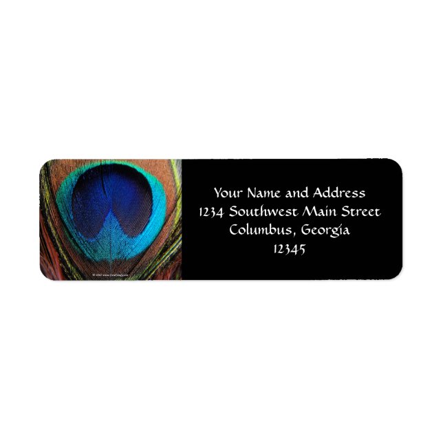 Macro Peacock Feather Rich Blues Photographic (Front)