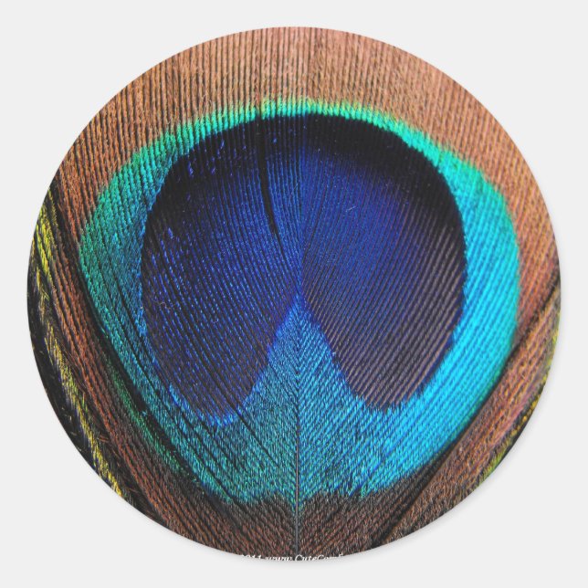 Macro Peacock Feather Rich Blues Photographic Classic Round Sticker (Front)