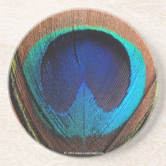Macro Peacock Feather Rich Blues Photographic Coaster