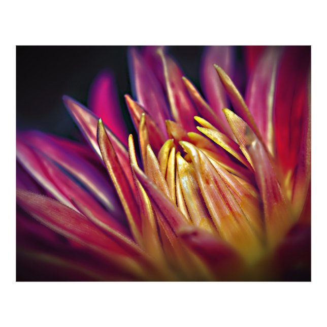 Macro photo flower print (Front)