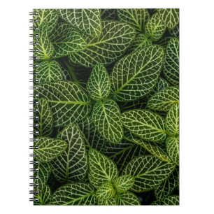 Macro photo of green-leafed plants notebook