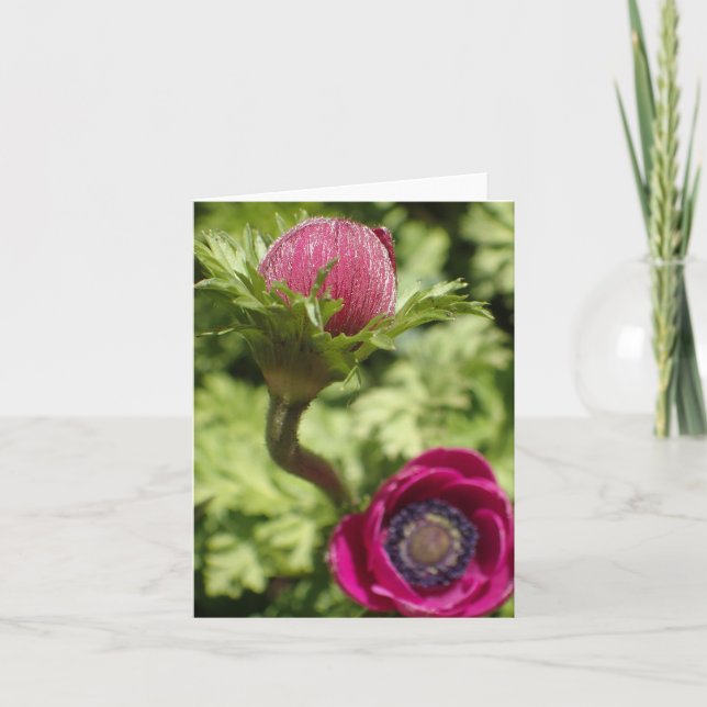 Macro photo unique bold pink flower on blank card (Front)