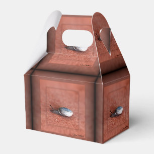 Macro Photograph of Snail on Terracotta Favor Box