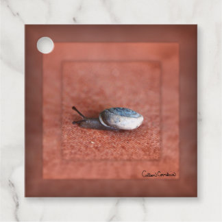 Macro Photograph of Snail on Terracotta Favour Tags