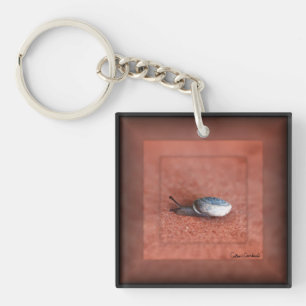 Macro Photograph of Snail on Terracotta Keychain