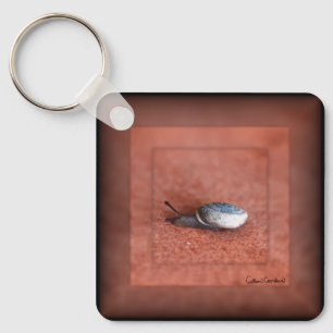 Macro Photograph of Snail on Terracotta  Keychain