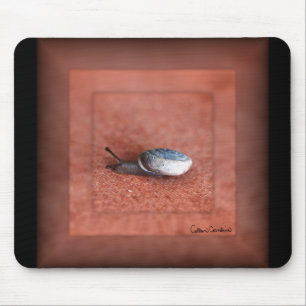 Macro Photograph of Snail on Terracotta Mouse Pad