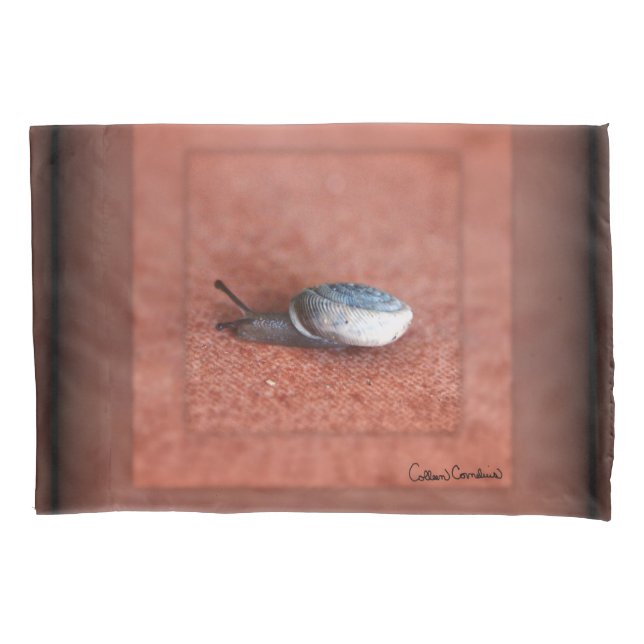 Macro Photograph of Snail on Terracotta Pillowcase (Front)