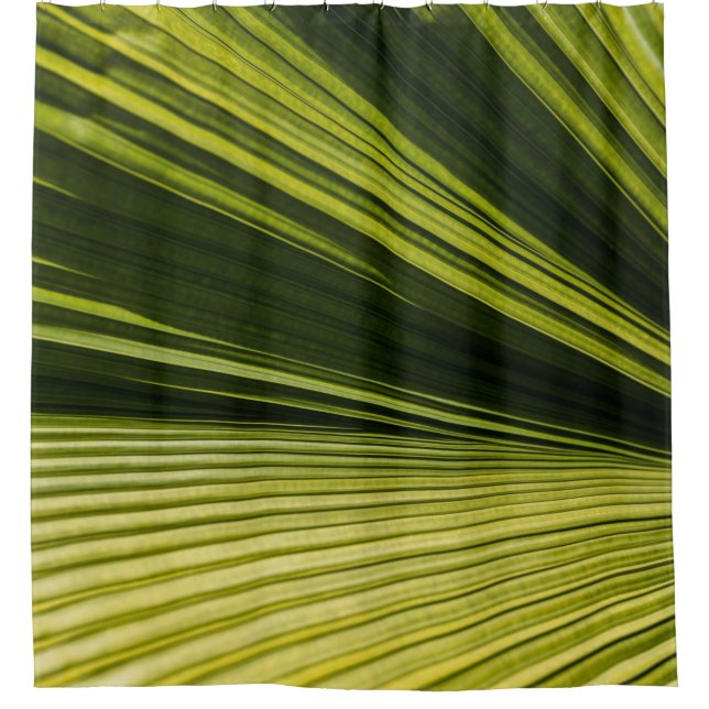Macro photography of green leaf (Front)