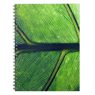 Macro photography of green leaf notebook