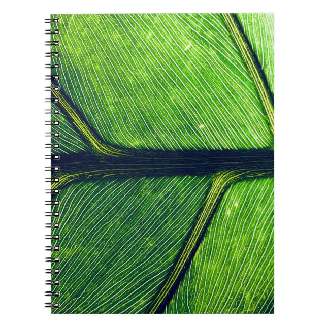 Macro photography of green leaf notebook (Front)