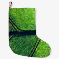 Macro photography of green leaf