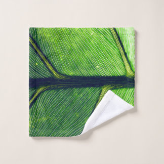 Macro photography of green leaf wash cloth