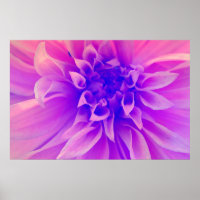Macro Pink Flower