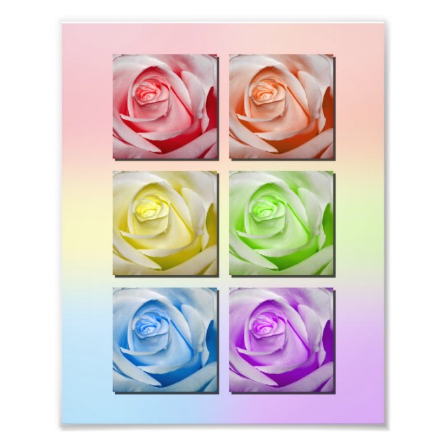 Macro Rainbow Roses Portrait Photo Print (Front)