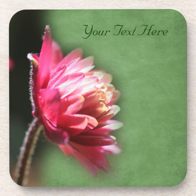 Macro Red Flower Nature Coaster Set (Front)