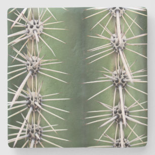 Macro Saguaro Cactus,Arizona, square stone coaster