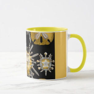 Macro Sea Creatures Sea Urchins Mug