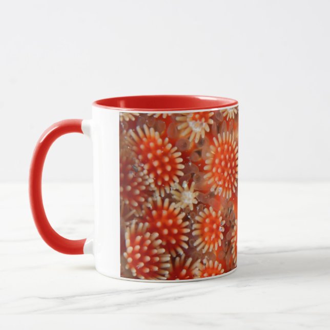 Macro Sea Star Mug (Left)
