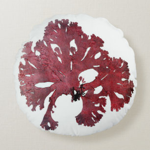 Macro Seaweed Cushions