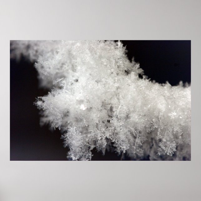 Macro Snowflake Poster (Front)