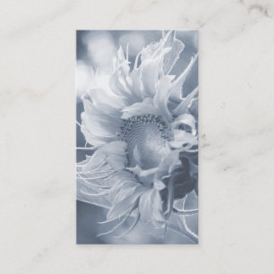 Macro Sunflower in Grayish Blue Business Card