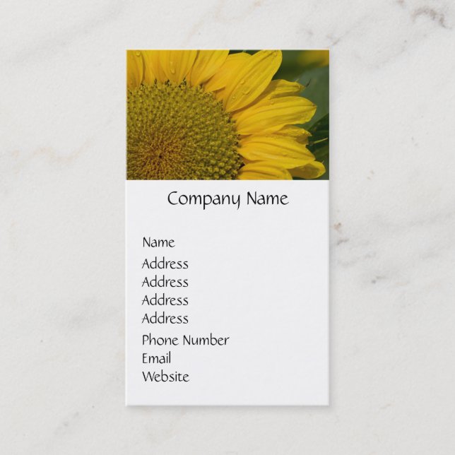 Macro Sunflower With Raindrops Business Card (Front)