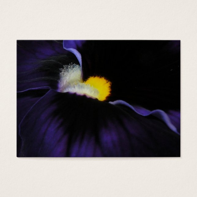 Macro Viola violet ATC 2 (Devant)