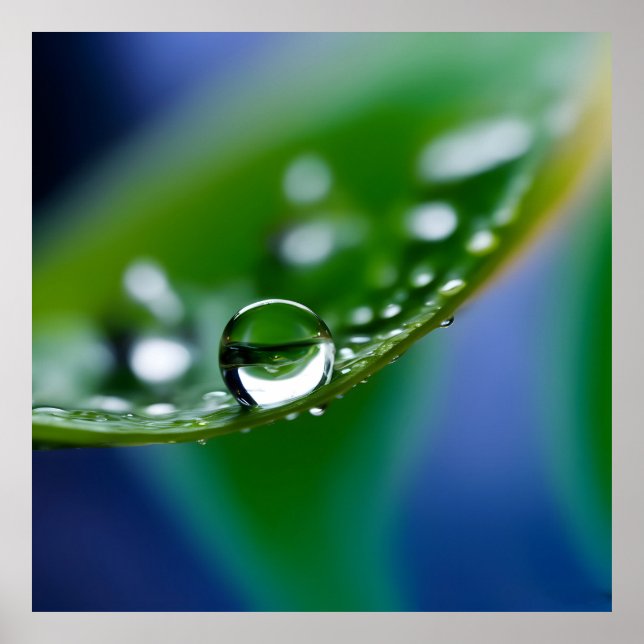 Macro water drops poster (Front)