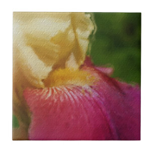 Macro Yellow Iris Floral Art Tile