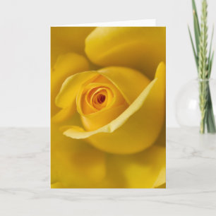 Macro Yellow Rose Card