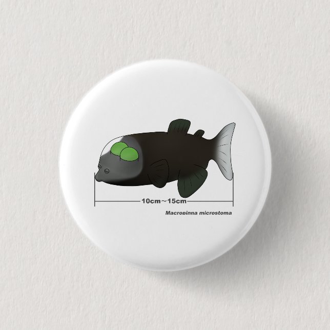 Macropinna microstoma actual size 1 inch round button (Front)