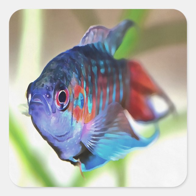 Macropodus Opercularis Aquarium Fish Square Sticker (Front)