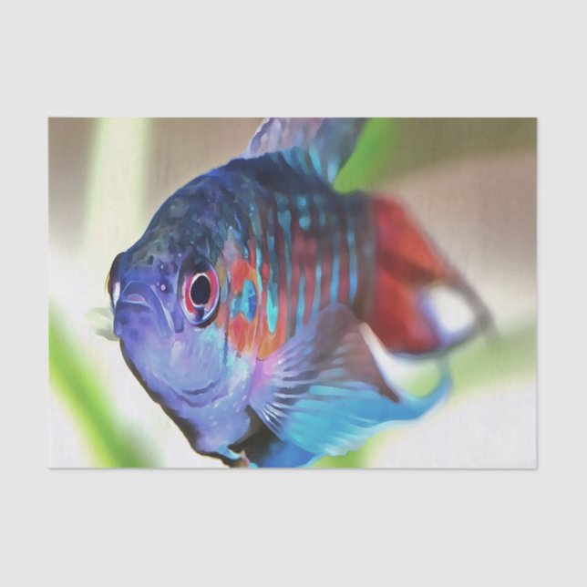 Macropodus Opercularis Aquarium Fish Tissue Paper (Front)