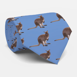 Macropus rufogriseus tie