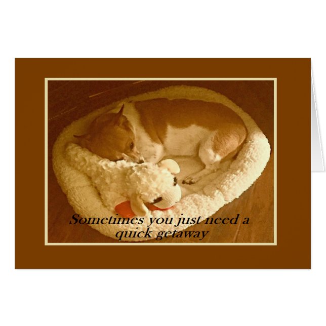 "Macy with Lamb Chop" 5 x 7 Carte avec Enveloppe (Devant horizontal)