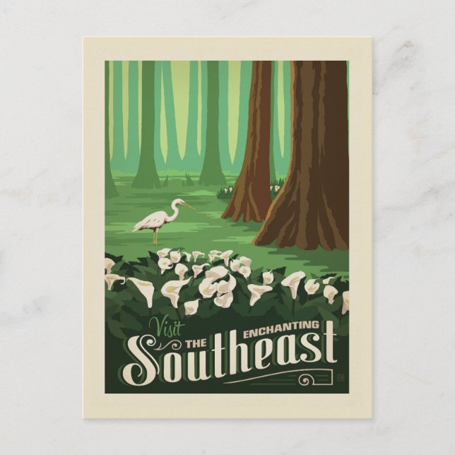 Macy's Flower Show | Southeast Postcard (Front)