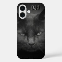 Mad Black Cat