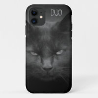 Mad Black Cat