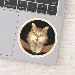 Mad Cat Painting - Cute Original Cat Art