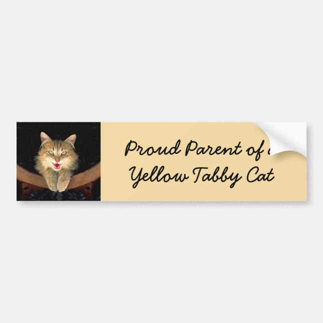 Mad Cat Painting - Cute Original Cat Art Bumper Sticker (Front)