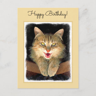 Mad Cat Painting - Cute Original Cat Art Postcard