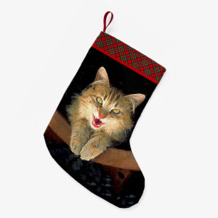 Mad Cat Painting - Cute Original Cat Art Small Christmas Stocking