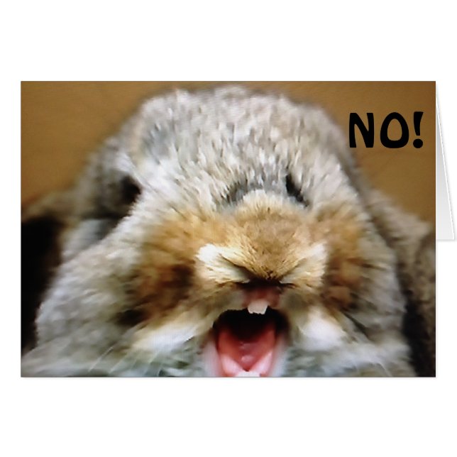 MAD RABBIT SAYS "NO" U CANNOT BE "50" (Front Horizontal)