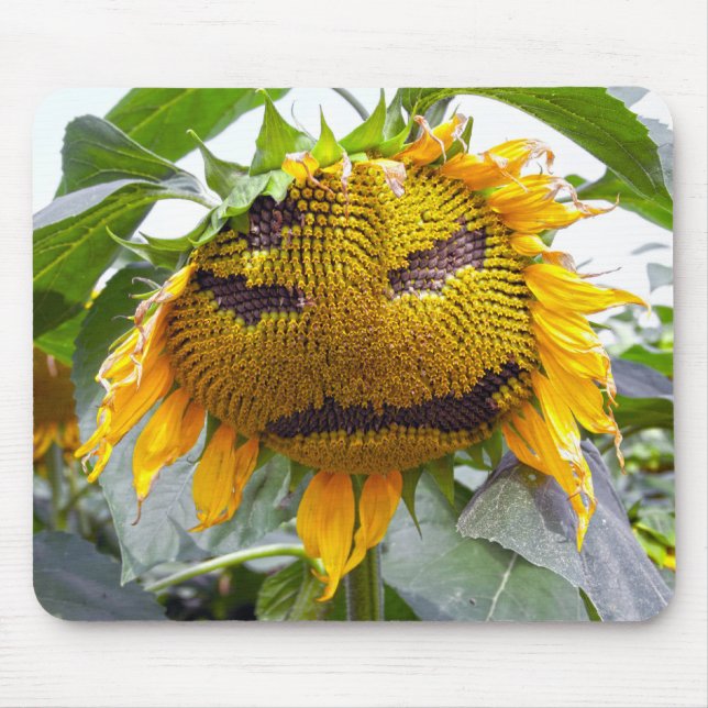 Mad Sunflower Mouse Pad (Front)