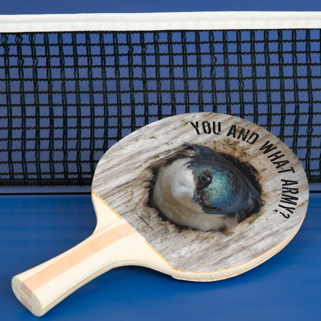 Mad Tree Swallow Songbird in Nestbox Ping Pong Paddle (Insitu)