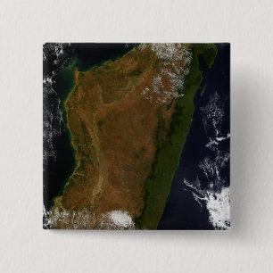 Madagascar 2 Inch Square Button